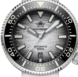 The Watch Dial for AD2069 - Image 2